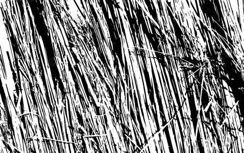 Black and White Grass Silhouette Texture Rustic Background