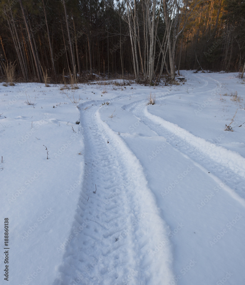Tire tracks in the snow into the woods Tire tracks in the snow into the woods