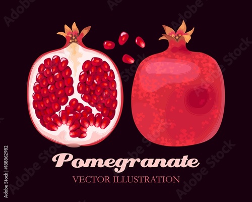 Vector illustration of pomegranate fruits