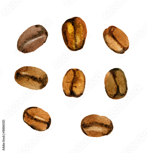 Coffee beans isolated on white, watercolor illustration