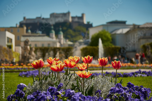 Mirabell palace and garden in the spring Salzburg, Austria photo