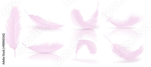 Vector realistic 3d set of pink bird or angel feathers in various shapes, isolated on background. Symbol of lightness, innocence, heaven, literature and poetry. Decoration element for your design