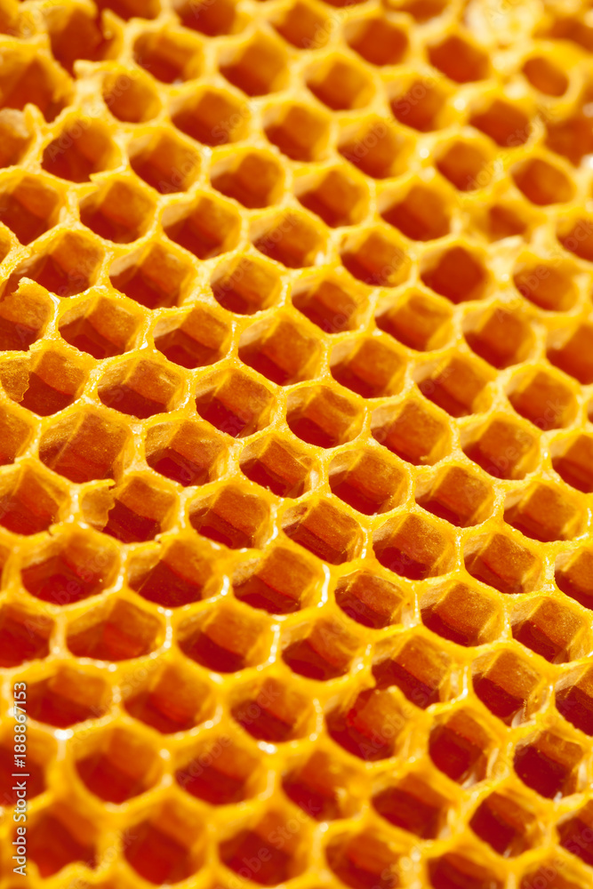 Close up studio shot of authentic organic honey in honeycomb - healthy food Close up studio shot of authentic organic honey in honeycomb - healthy food