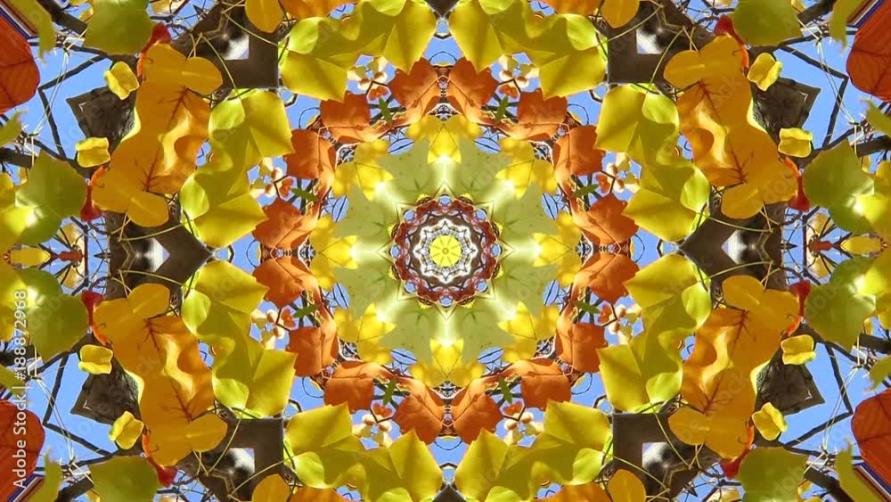 Movimientos de hojas de árbol con efectos.