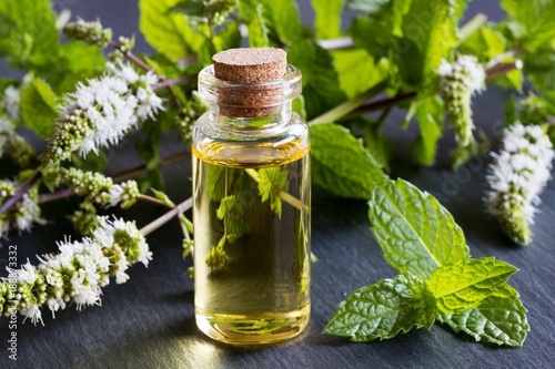 A bottle of peppermint essential oil with fresh peppermint twigs