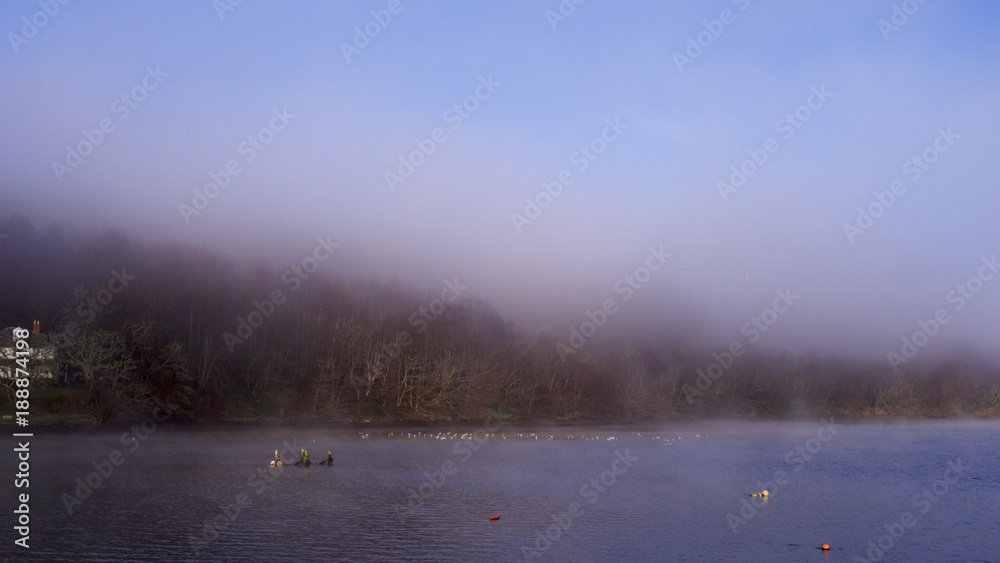 Misty morning over the river