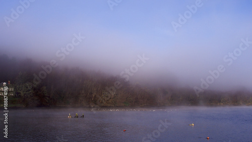 Misty morning over the river