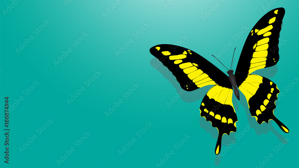 Fototapeta premium butterfly with black wings, yellow patterns