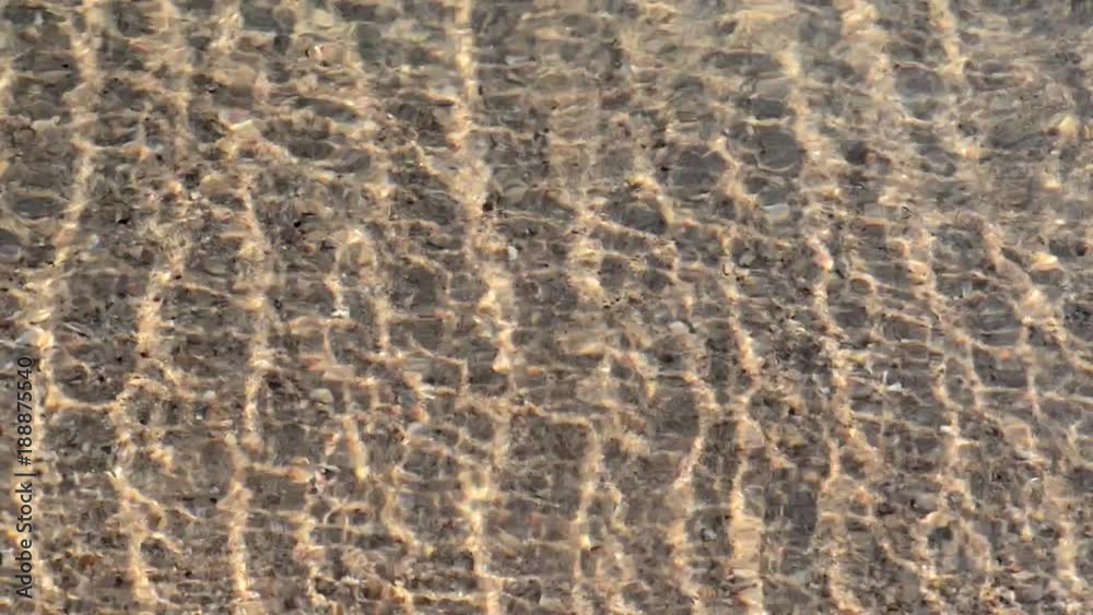 close-up of a sea spit close-up of a sea spit
