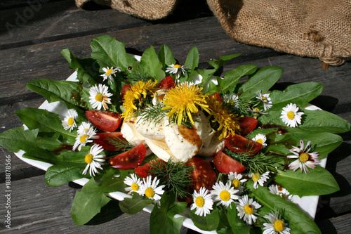 organisch, lifestyle, tomate, mozzarella, salat, wilkräuter, sliced, werbetafel, modern, neu photo