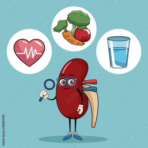 World kidney day icon vector illustration graphic design
