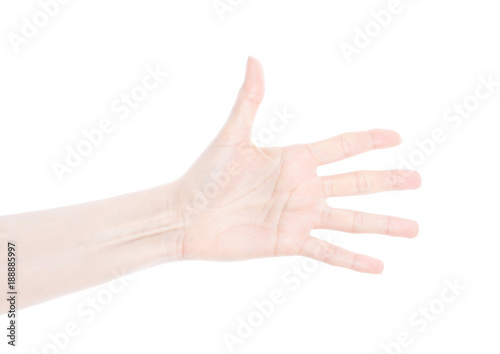 Female hand isolated on white background © DenisMArt