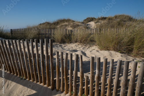 Wooden fence marking a protected area of coastal dunes.
