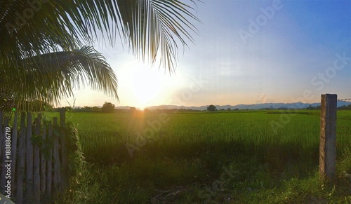 Coucher de soleil sur rizi  re 