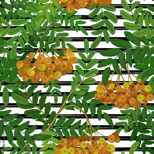 Seamless pattern with rowanberry on strips. Summer background.