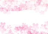 桜たくさん ピンク