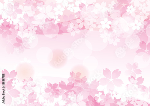 桜たくさん 白