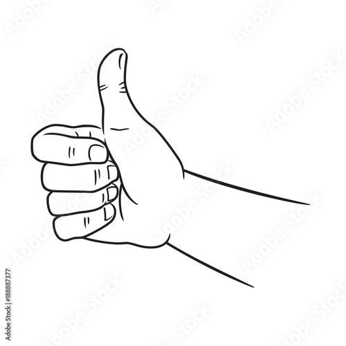 Sketch of thumbs up. Hand drawn vector illustration in line art style.