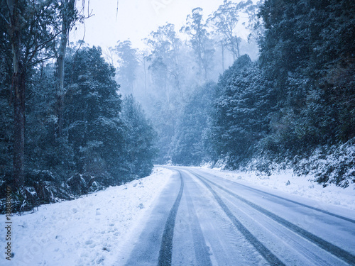 Car tire/wheel tracks on a snow covered icy road with tall trees on both side. Winter shot of sudden snowfall on a country road with hoarfrost on ground in the forest. Mt Donna Buang, VIC Australia. © Doublelee