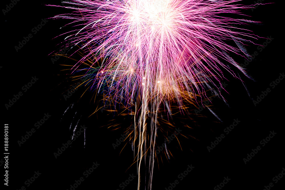 Obraz premium Close up the fireworks that rise from the ground to the sky and break out the colors.