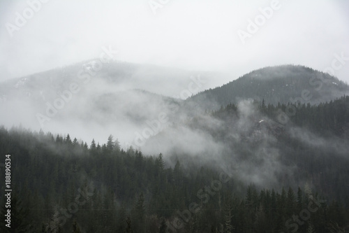 North Cascades National Park Washington Winter Storm Snow Ice Forrest