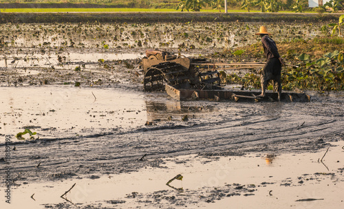 farmer are preparing soil for growing rice