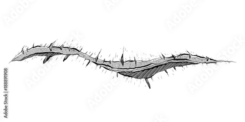 An abstract, organic crack with dry creases and wrinkles showing hints of what is underneath.