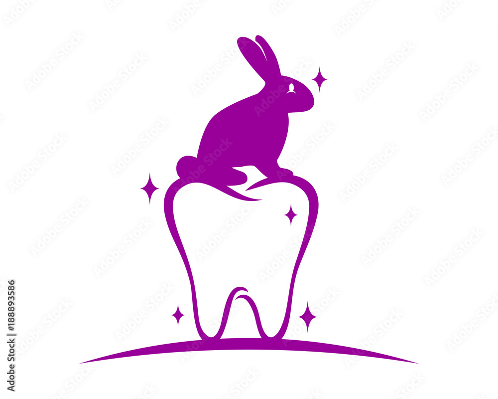 Fototapeta premium purple tooth dental rabbit hare rabbit fauna image