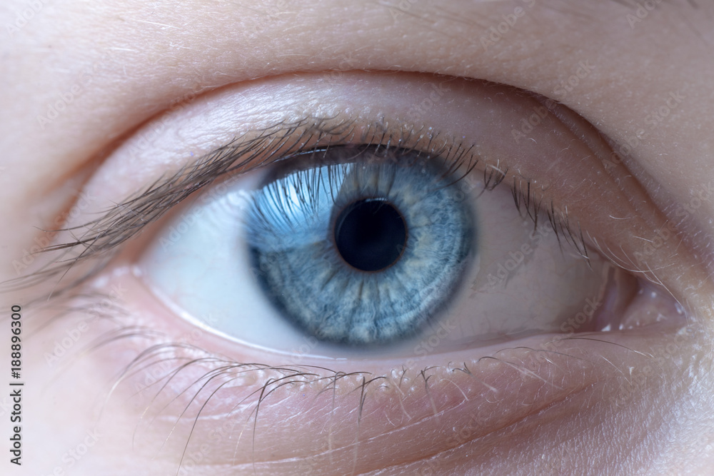 Fototapeta premium Macro image of blue human eye
