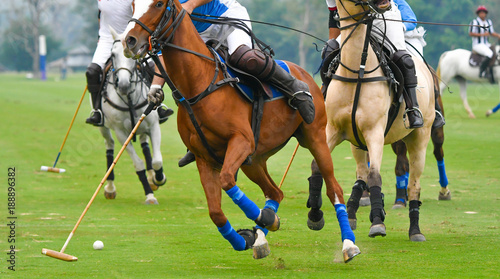 Polo Player ride a horse