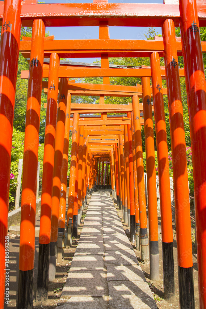 Red gates in Nezu shrine