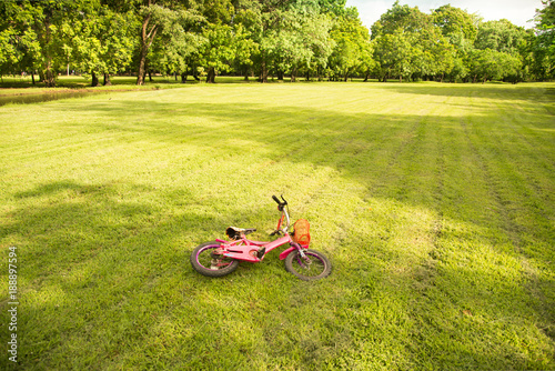 Bilde på lerret Bink bike falling on green grass in the park.