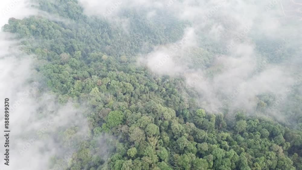 Rainforest. Aerial view of rain forest jungle hillside landscape and clouds Rainforest. Aerial view of rain forest jungle hillside landscape and clouds