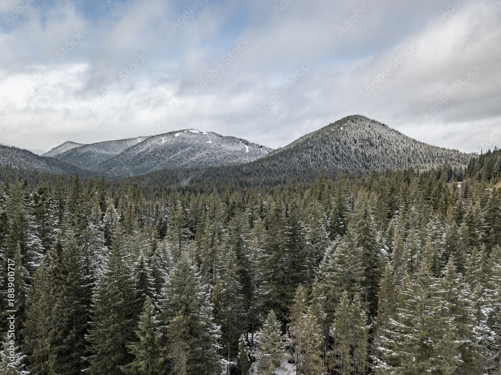 Obraz premium Aerial mount hood national forrest