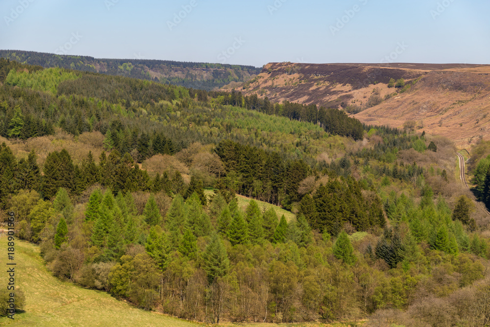 Fototapeta premium Landscape in the North York Moors National Park, UK