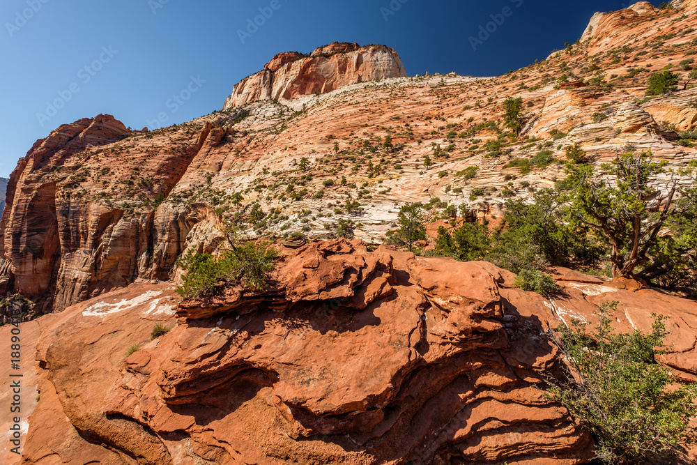 Landscape in Zion National Park Landscape in Zion National Park