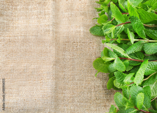 Fresh lemon balm on fabric