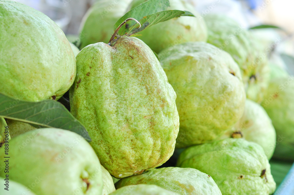 Fototapeta premium Guava