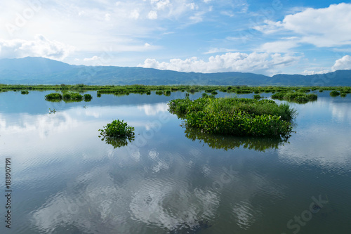 Beautiful nature in Loktak Lake, Manipur, India