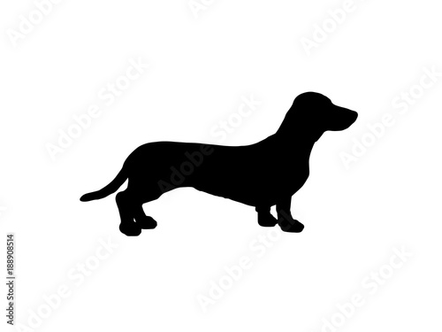 the silhouette of a Dachshund. vector illustration
