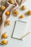 Cape gooseberry fruit and notepad on white wooden background