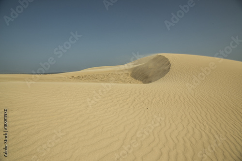 Dune di Corralejo  Fuerteventura  Spagna  deserto  vento