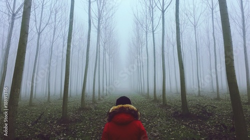 Schilderij op canvas foresta uomo nebbia