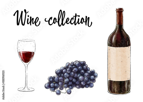 Bottle of red wine with a glass and grape cluster isolated on white background. Wine collection. Vector illustration.