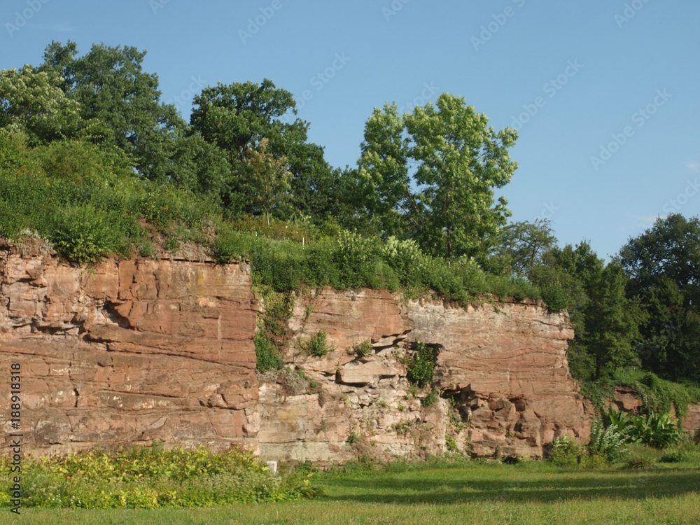 Bewachsene Felsen im Hoehenpark Killesberg in Stuttgart