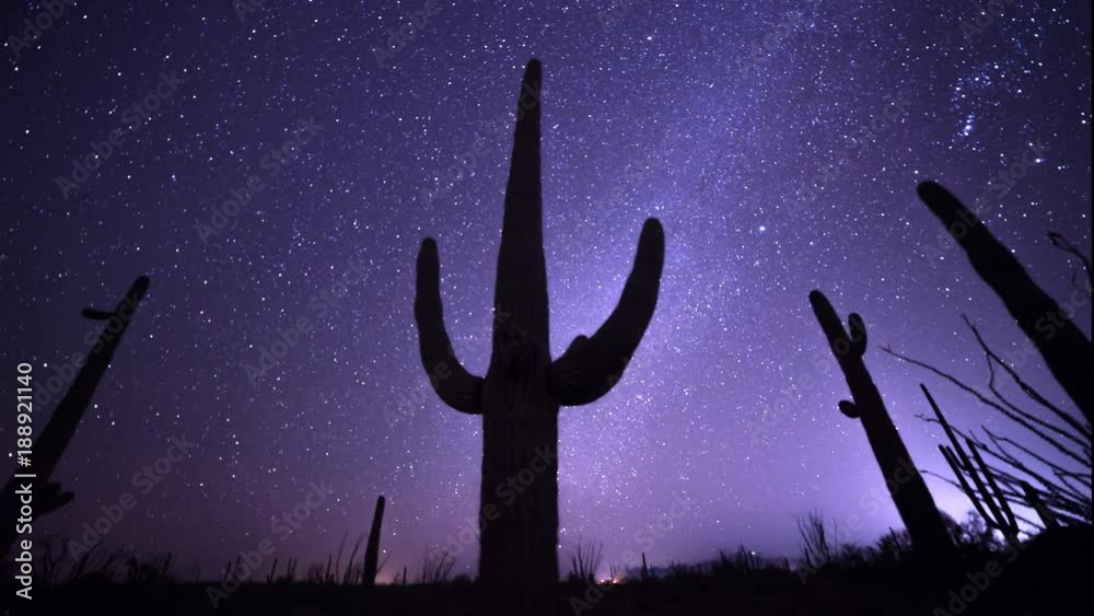 astro time lapse of a saguaro cactus in the sonoran desert of organ pipe cactus national monument near ajo in arizona, usa