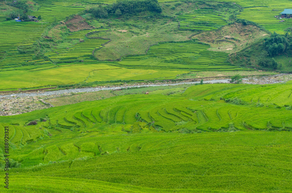 Aerial view of green rice terraces and river