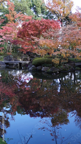 逆さ紅葉