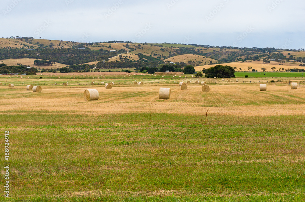 Picturesque rural landscape of straw bales on field