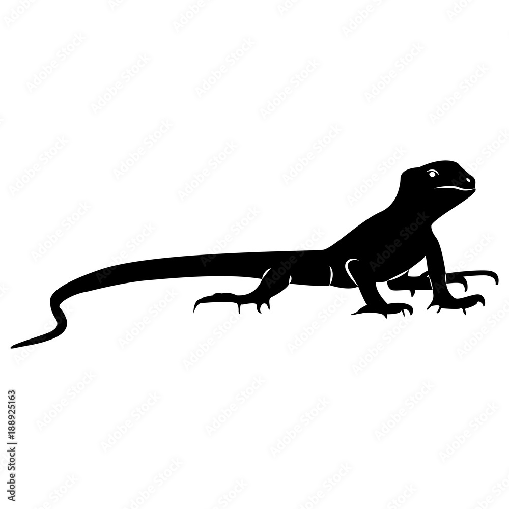 Vector image of silhouette of a lizard on a white background